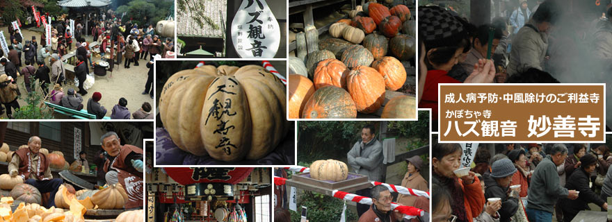 成人病予防・中風除けのご利益寺／かぼちゃ寺 ハズ観音 妙善寺