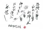 平成21年11月／今月の法話と俳句の画像１