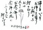 平成23年5月／今月の法話と俳句の画像１