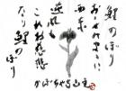 平成28年 5月／今月の法話と俳句の画像１