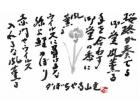 令和2年 5月／今月の法話と俳句の画像１
